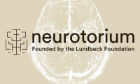 Neurotorium