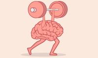 Hjerne der dyrker vægtløftning